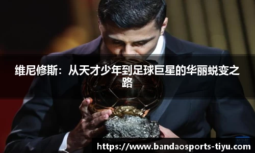半岛体育平台